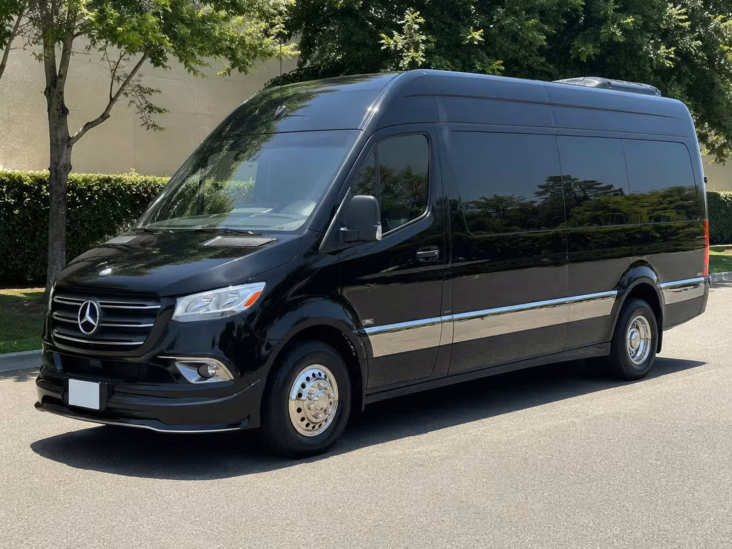 goleta sprinter van rental with driver